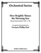 How Brightly Shines the Morning Star Orchestra sheet music cover